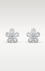 0.30ct Diamond Flower Stud Earrings in 14K White Gold | Frisco, Texas Jewelry Store