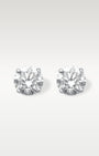 0.75ct Diamond Stud Earrings in 14K White Gold | Frisco, Texas Jewelry Store