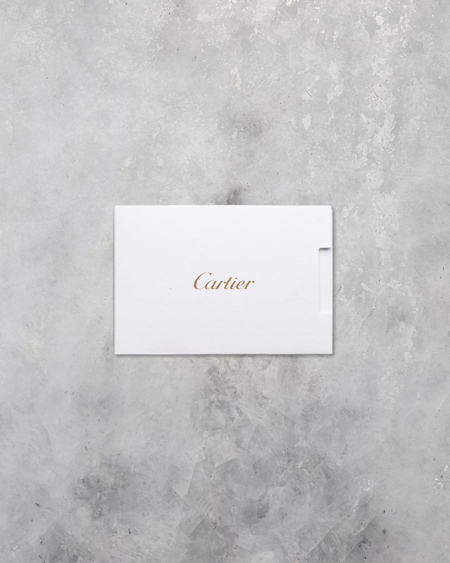 Cartier Santos De Cartier WSSA0018