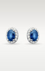 1.95ct Sapphire & 0.41ct Diamond Halo Stud Earrings in 14K White Gold | Frisco, Texas Jewelry Store