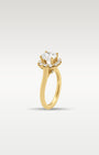 18k Yellow Gold Diamond Halo Ring | Noah's Fine Jewelry Frisco Texas
