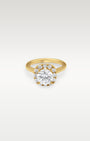 18k Yellow Gold Diamond Halo Ring | Noah's Fine Jewelry Frisco Texas
