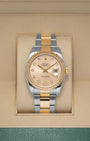 36MM Rolex Datejust Champagne Diamond 116233 | Noah's Fine Watches