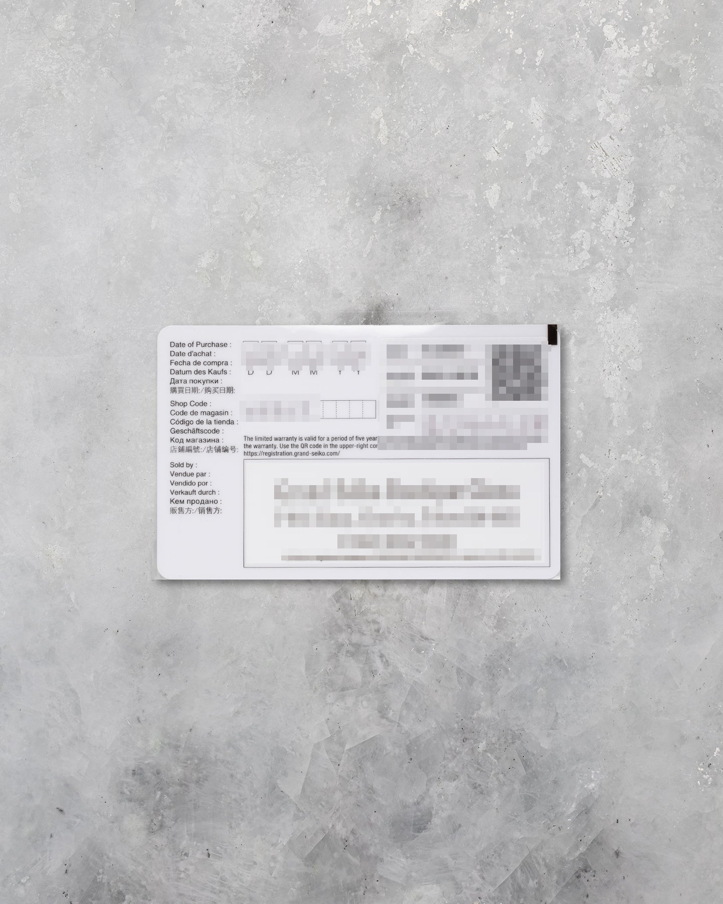 Grand Seiko Evolution 9 at Noah's Fine Watches & Jewelry