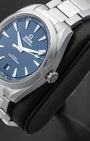 Omega Seamaster Aquaterra 22010412103004 | DFW Watches