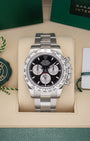 White Gold Rolex Daytona 126509 2024 Watch | Noah's Fine Watches and Jewelry Dallas