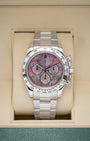 Rolex Daytona Tahitian Mother of Pearl 116509 | Noah's Fine Watches Dallas, Texas