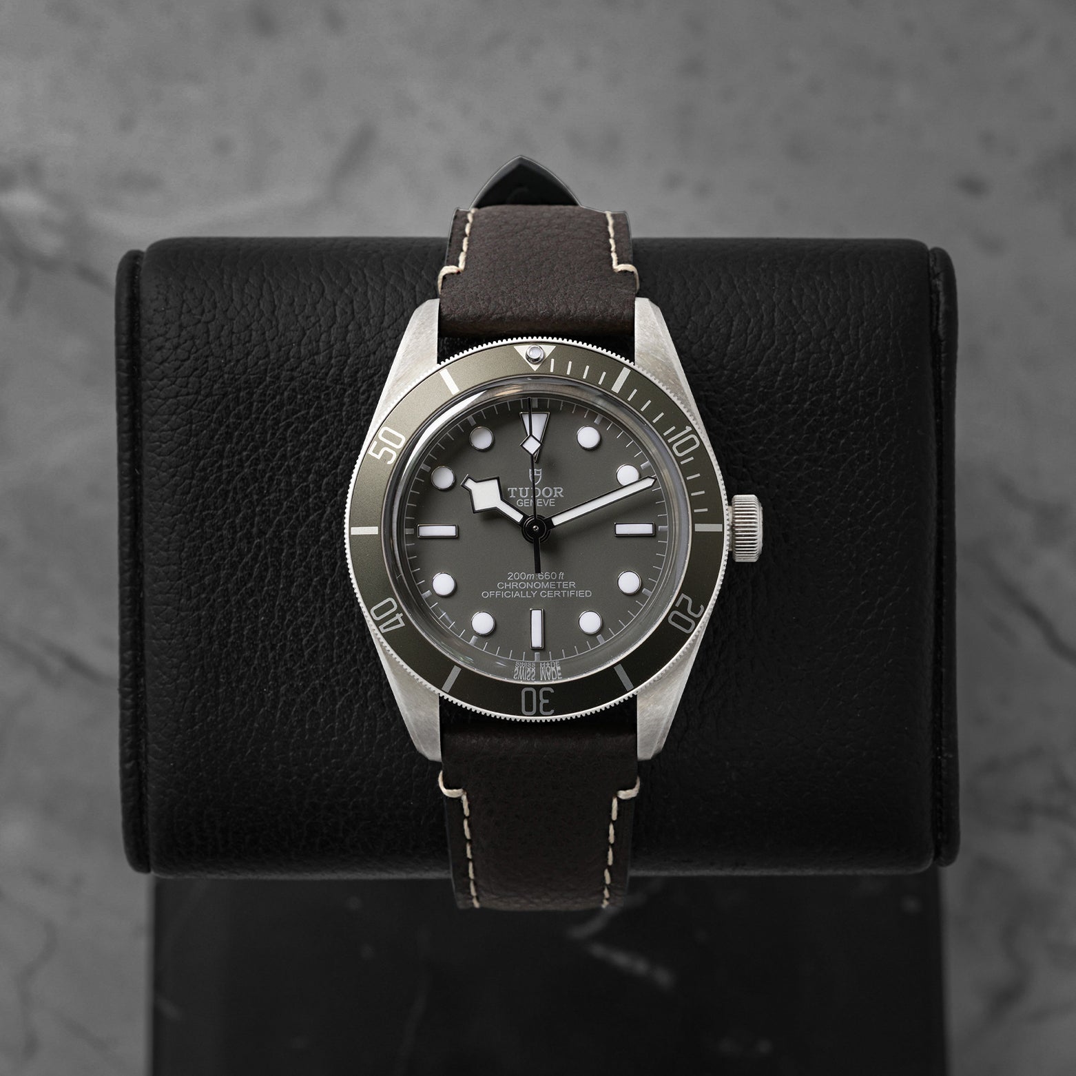 Tudor Black Bay 58 79010SG