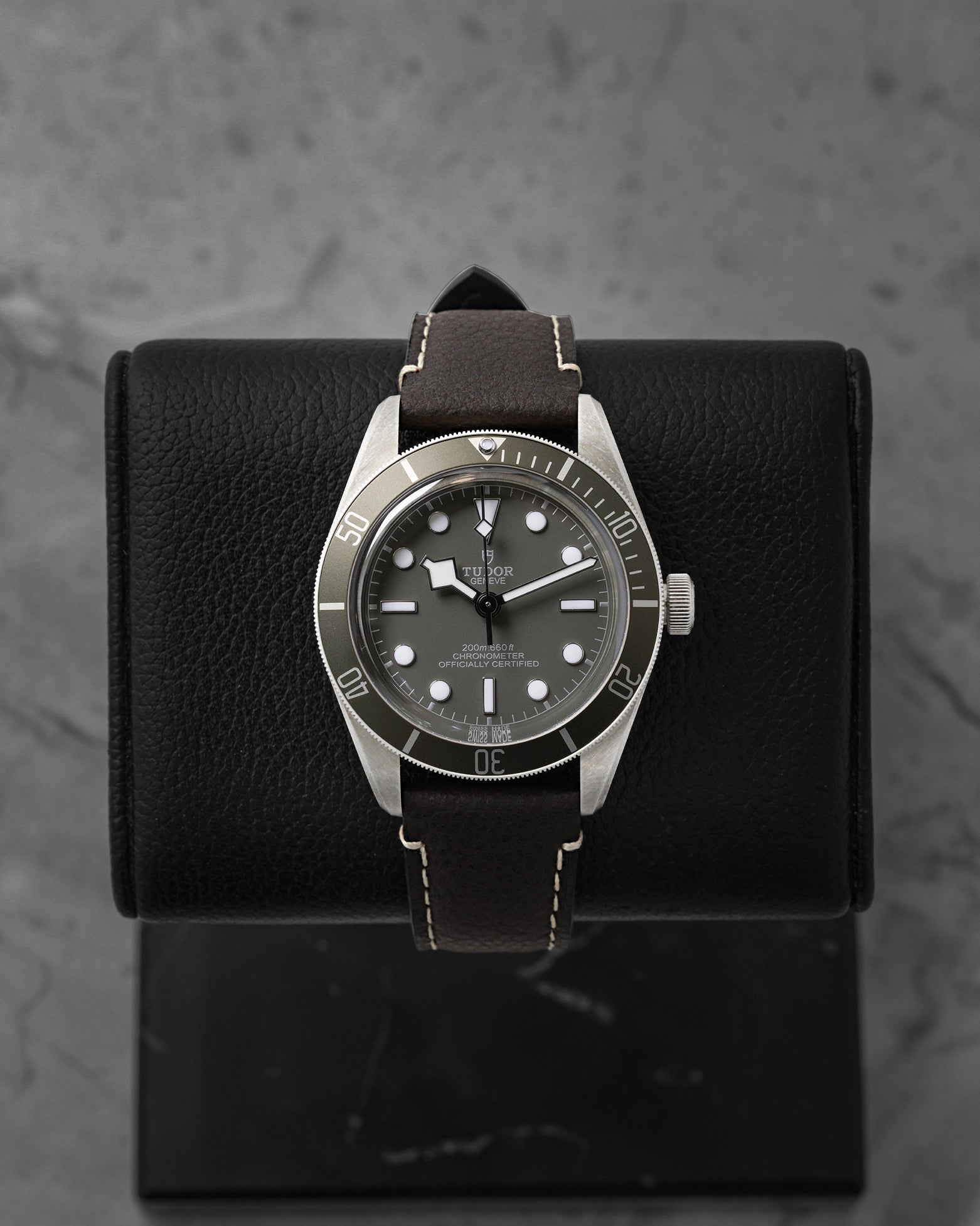 Tudor Black Bay 58 79010SG
