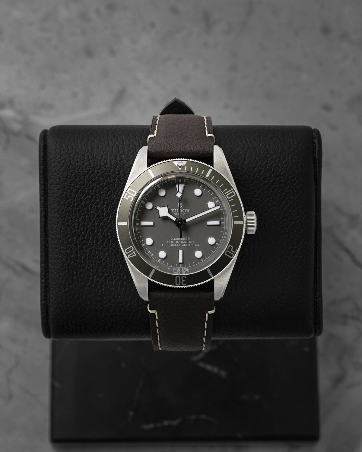 Tudor Black Bay 58 79010SG