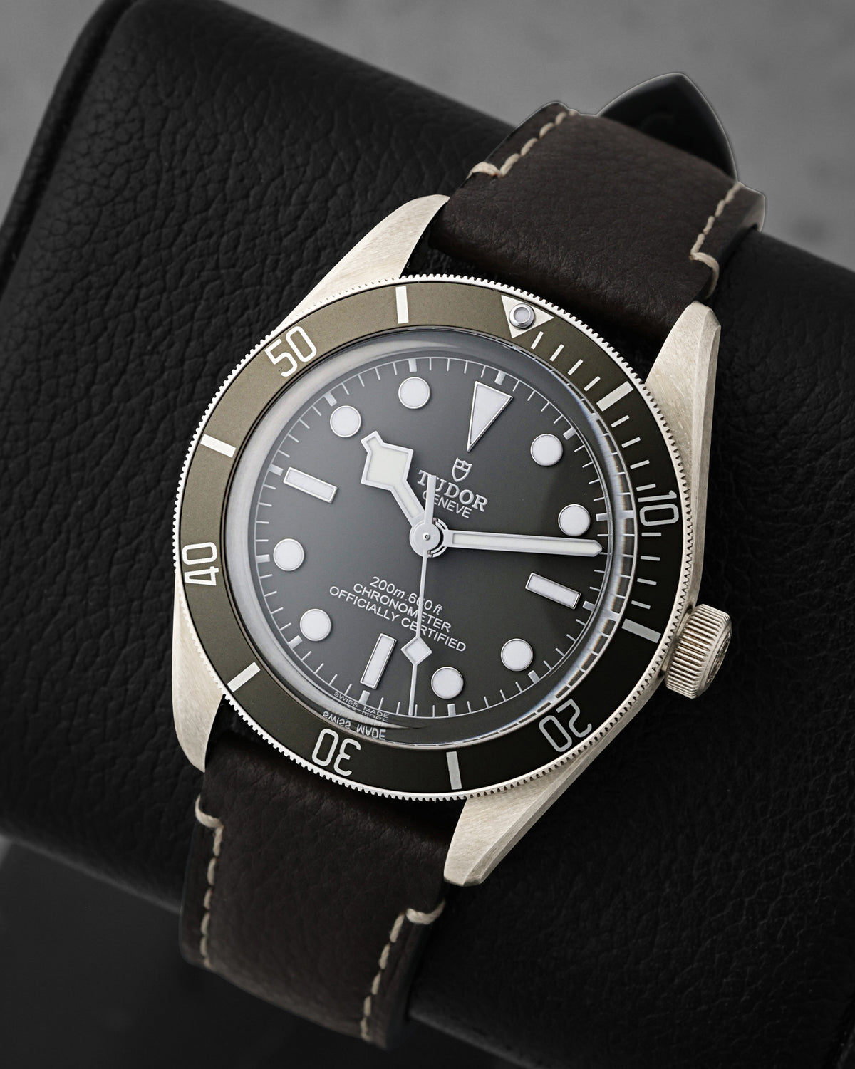 Tudor Black Bay 58 79010SG