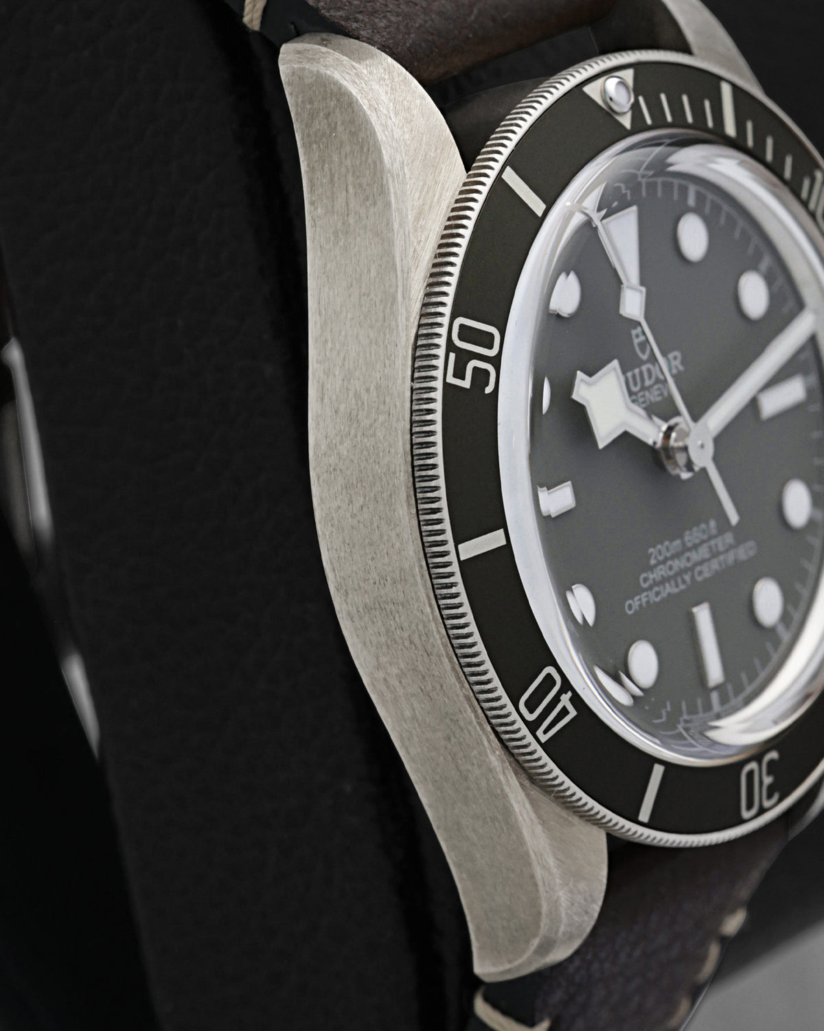 Tudor Black Bay 58 79010SG