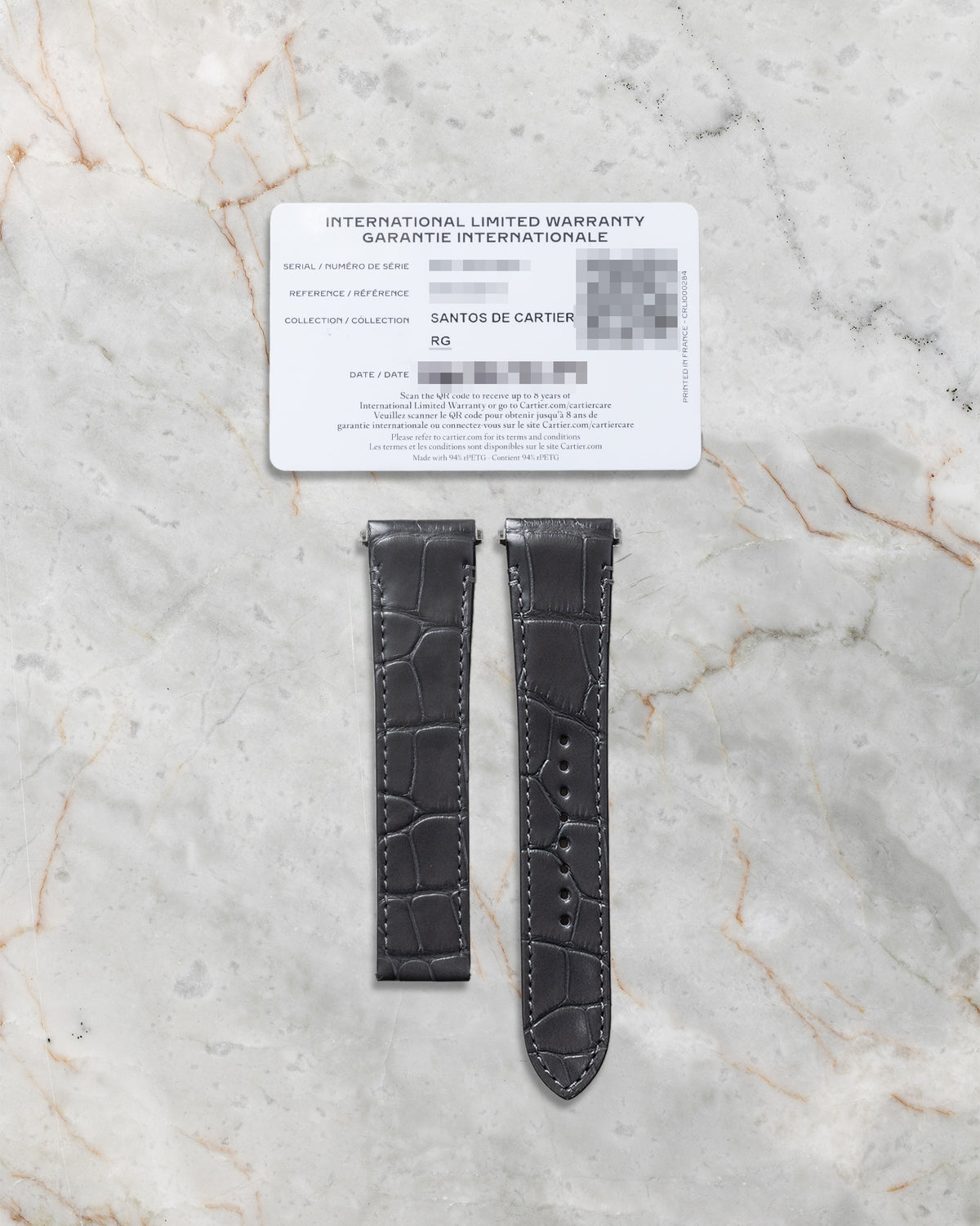 Cartier Santos WGSA0018 at Noah's Fine Watches & Jewelry