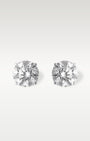 14K White Gold 2.00CT Diamond Studs | Noah's Fine Jewelry Texas