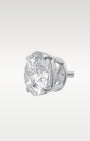14K White Gold 2.00CT Diamond Studs | Noah's Fine Jewelry Texas