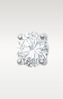 14K White Gold 2.29ct Diamond Stud Earrings | Frisco, Texas Jewelry Store