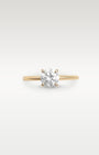 Yellow Gold Round Solitaire Diamond Engagement Ring | Noah's Fine Jewelry and Watches