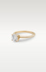Yellow Gold Round Solitaire Diamond Engagement Ring | Noah's Fine Jewelry and Watches