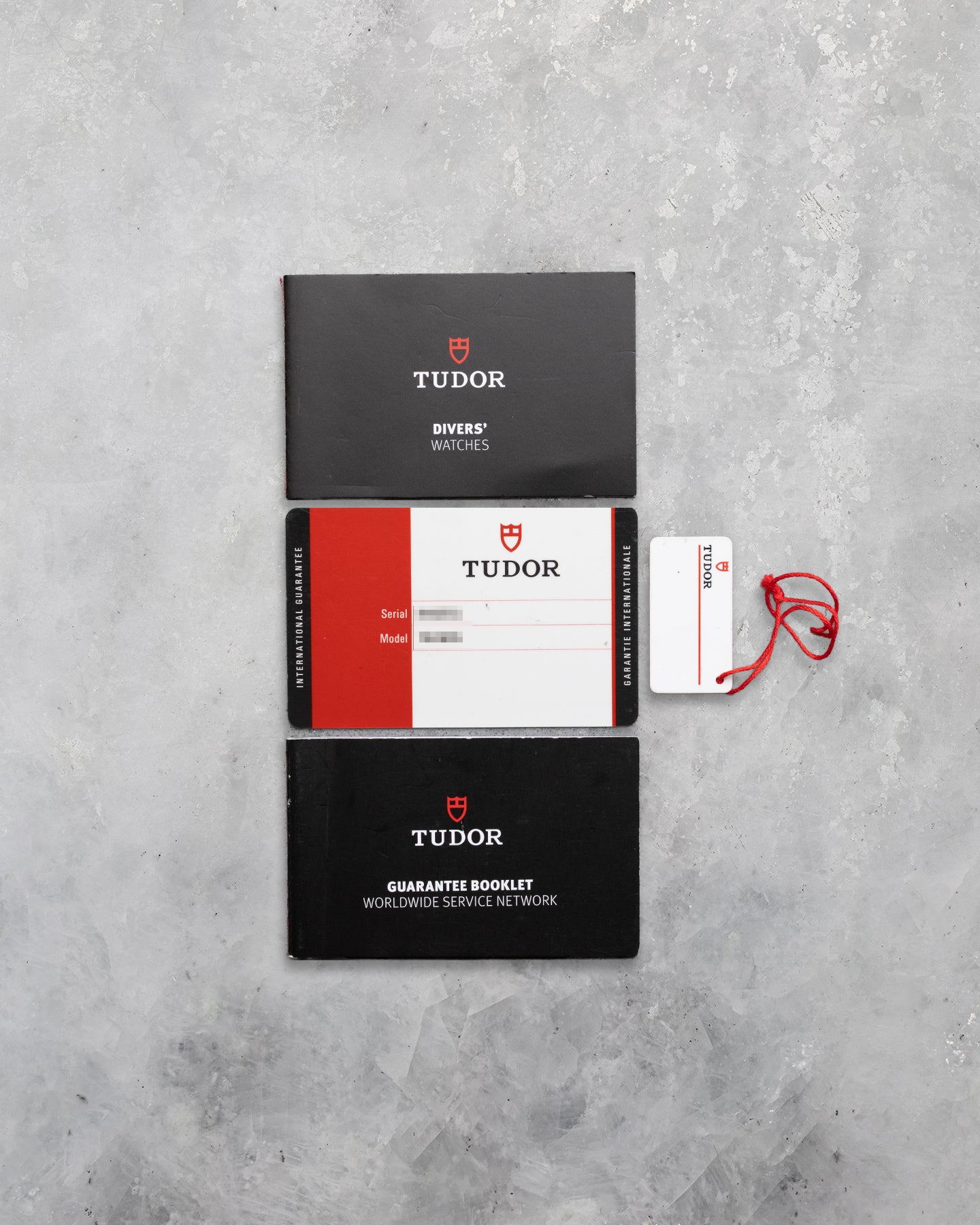 Preowned Tudor Black Bay 79230N 2019 – Noah's Fine Watches & Jewelry
