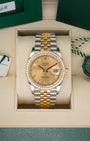 Diamond Bezel Rolex Datejust 36 126283RBR | Noah's Fine Watches Dallas
