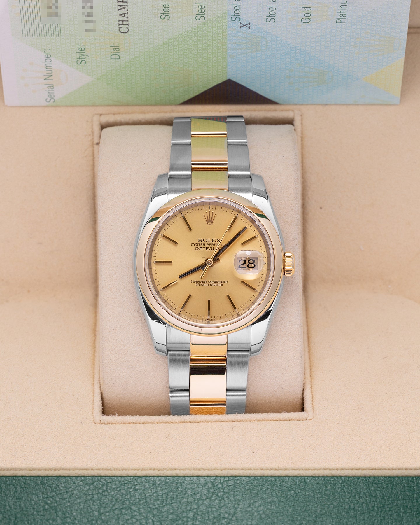Champagne Dial Rolex Datejust 36 116203 | Noah's Fine Watches & Jewelry