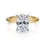 Gabriel & Co. Two Tone Cari Hidden Halo Oval Diamond Engagement Ring | Noahs Fine Jewelry