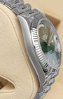 White Gold Rolex Day-Date 228239 | Noah's Fine Watches & Jewelry TX
