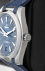 Omega Seamaster Aqua Terra 220.12.41.21.03.001 | Noah's Fine Watches