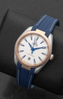 Omega Seamaster Aqua Terra 22022382002001 | Noahs Fine Watches