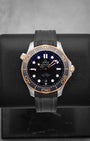 Steel & Sedna Gold Omega Seamaster Diver 21022422001002 | Noah's Fine Watches