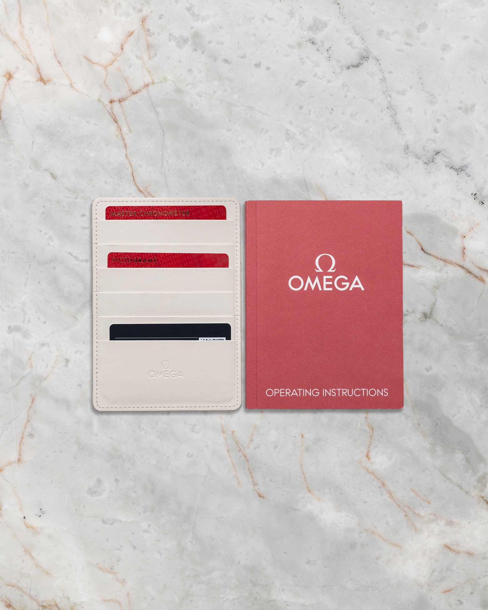 Omega Seamaster Planet Ocean 600M 21592465199001 | Noah's Fine Watches