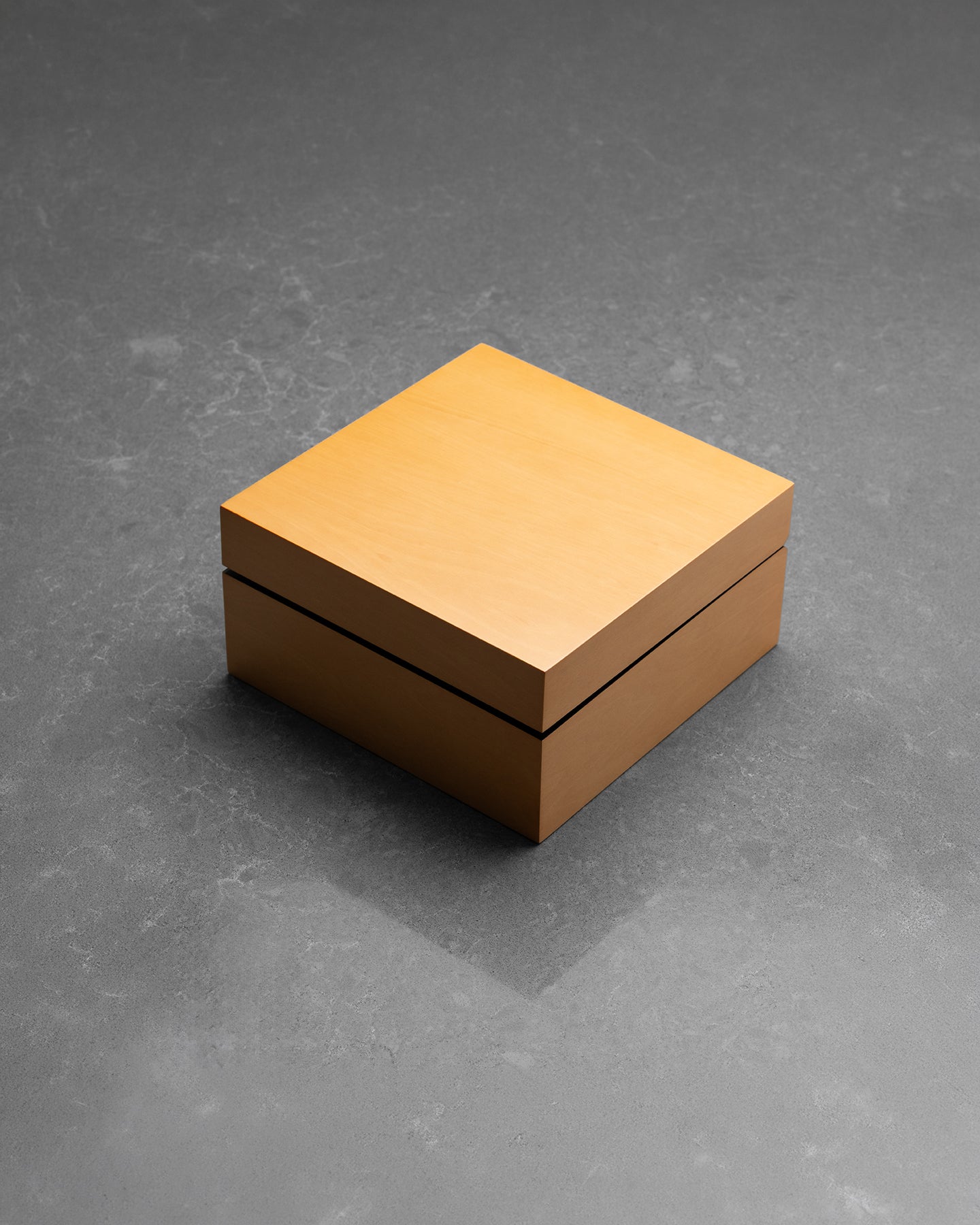 Panerai Luminor Marina Logo PAM00005 | Noahs Fine Watches & Jewelry TX