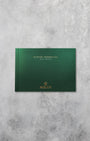 Rolex Day-Date Silver Motif 228238 | Noah's Fine Watches and Jewelry