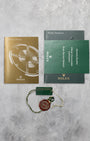 Womens Rolex Datejust 31 178274 | Noah's Fine Watches & Jewelry Dallas