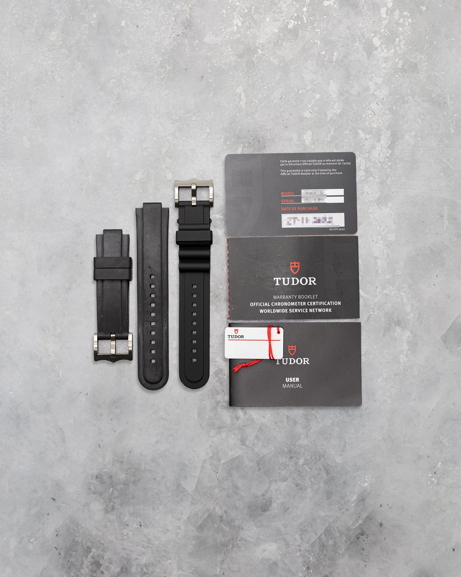 Tudor Pelagos M25600TN | Noah's Fine Watches & Jewelry Dallas