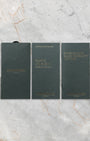 flat-lay view of the three official dark green Audemars Piguet warranty certificates, user manual booklets, and service guides resting on marble