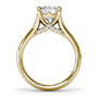 Silhouette side profile view of the Fana S4381 engagement ring setting, showcasing the sweeping cathedral arches, a tiny surprise collar diamond accent, and a hidden peek-a-boo blue sapphire gemstone underneath the head at Noah's Fine Watches & Jewelry