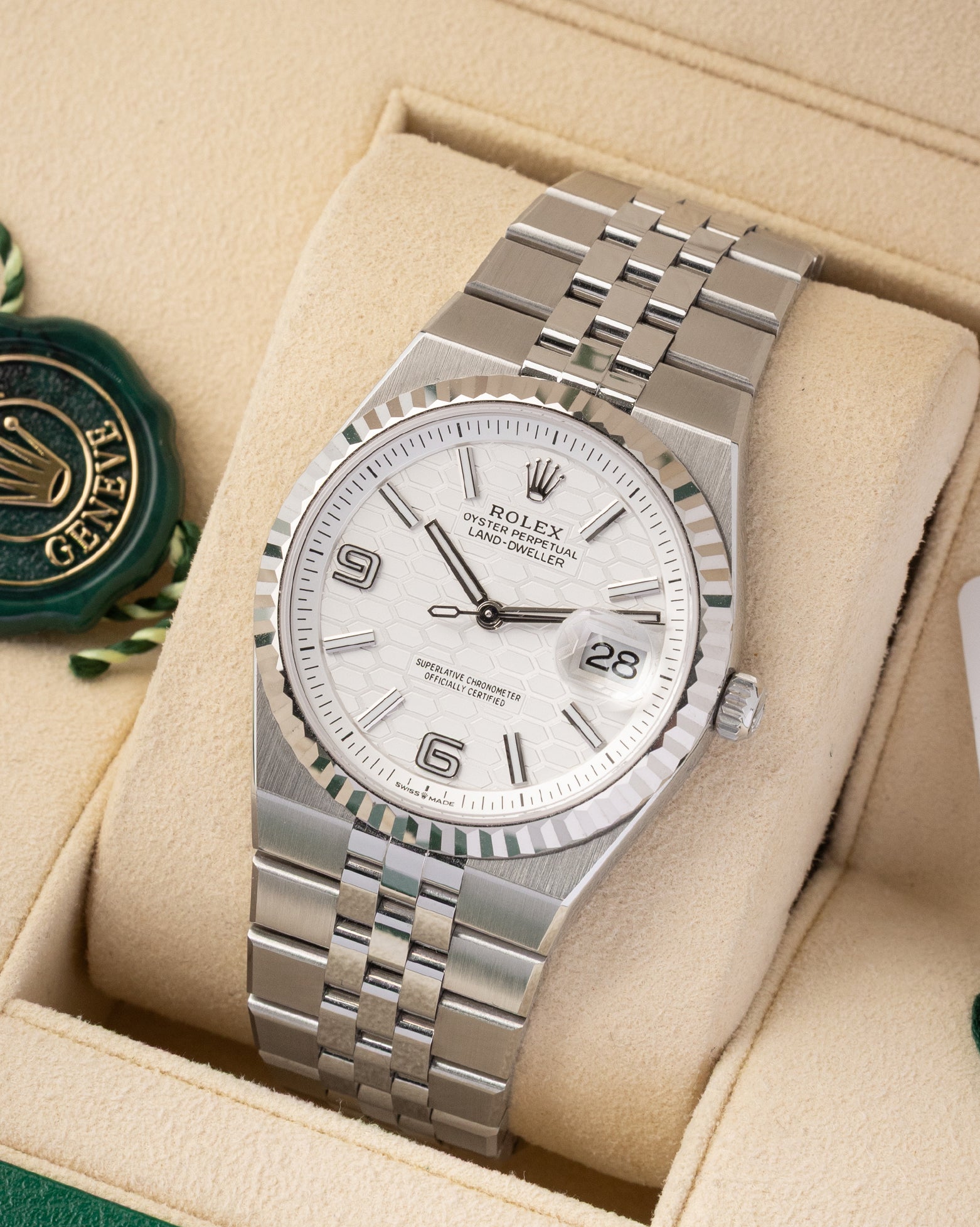 A high-angle three-quarter studio portrait of the 36mm Rolex Land-Dweller showcasing the seamless fluid transition from the case to the flat five-piece link bracelet on a beige cushion