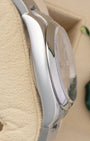 Polished Oystersteel case side view of pre-owned Rolex Oyster Perpetual 36 ref 116000.