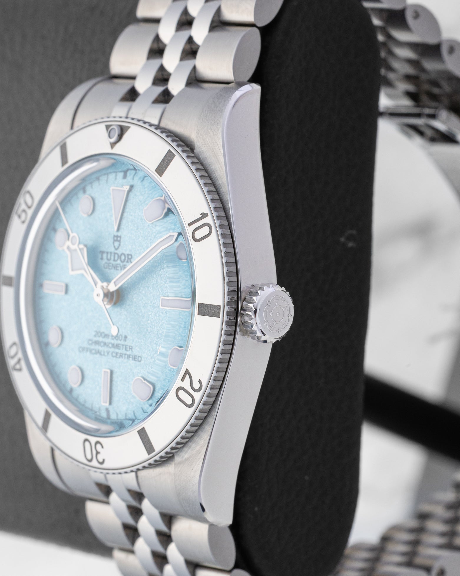 stainless steel case profile view showcasing the coin-edge bezel and screw-down crown with the Tudor rose in relief on a 37mm Black Bay 54